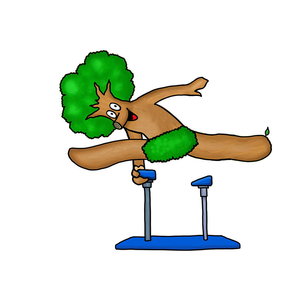LOGO-Keiki-Sportakrobatik-wip04-1000px Keiki bei der Sportakrobatik